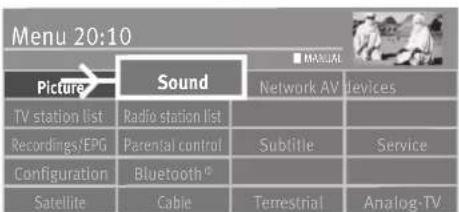 Menu 20:10 Picture Sound MANUAL Network AV devices TV station list Radio station list Recordings/EPG Parental control Subtitle Service Configuration Bluetooth® Satellite Cable Terrestrial Analog-TV