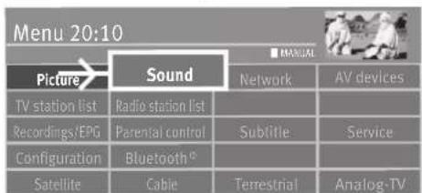 Menu 20:10 Picture→ Sound TV station list Recordings/EPG Configuration Satellite Sound Network Subtitle Bluetooth® Cable Terrestrial ANALOG-TV AV devices Service