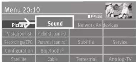 Menu 20:10 Picture Sound Network AV devices TV station list Radio station list Recordings/EPG Parential control Sublitie Service Configuration Bluetooth® Satellite Cable Terrestrial Analog-TV
