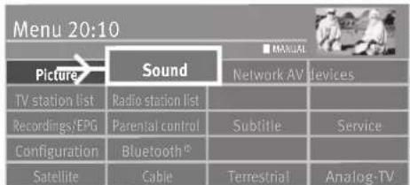 Menu 20:10 Picture Sound Network AV devices TV station list Radio station list Recordings/EPG Parential control Sublitie Service Configuration Bluetooth® Satellite Cable Terrestrial Analog-TV
