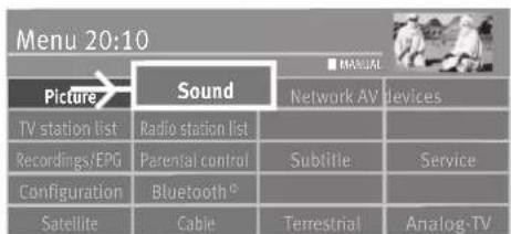 Menu 20:10 Picture→ Sound MANUAL TV station list Radio station list Recordings/EPG Parental control Subtitle Service Configuration Bluetooth® Satellite Cable Terrestrial Analog-TV