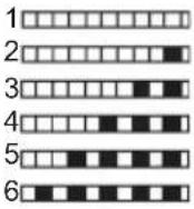 VOX LC13A15Y3D - Test Strip - 6