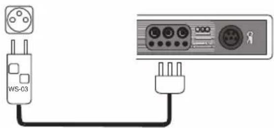 WS-03