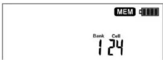 MEM Bank Cell 124