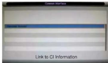 MAJESTIC LED323GS - CI-Informationen abrufen - 2