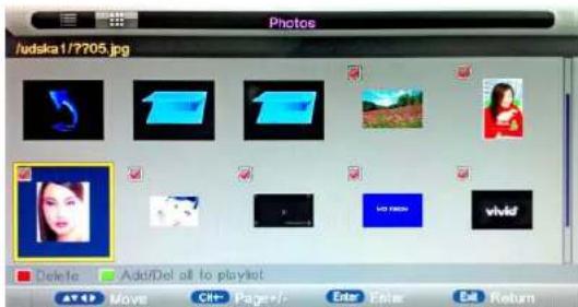 MAJESTIC L194DA - Thumbnails - 1