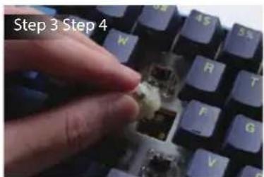 Step 3 Step 4