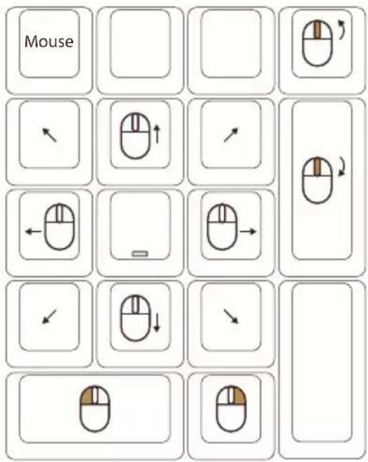 Mouse