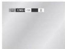 SAMSUNG DVD-V530 - Using the SUBTITLE button - 2