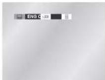 SAMSUNG DVD-V530 - Using the SUBTITLE button - 3