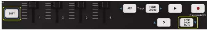 Omnitronic KEY-288+ - Verwendung mit Ableton Live - 12