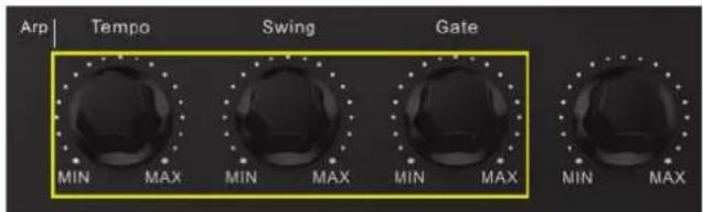 Omnitronic KEY-288+ - Arp - 2