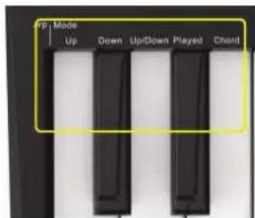 Omnitronic KEY-288+ - Arp - 3
