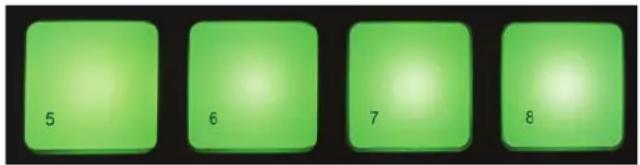 5 6 7 8