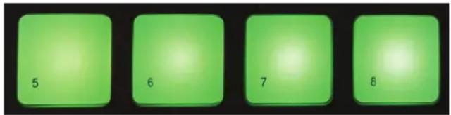 5 6 7 8