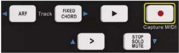ARP Track FIXED CHORD Capture MIDI > STOP SOLO MUTE