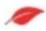 FOSCAM FNA108E-B4 - Event Record - 2
