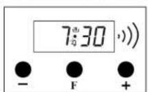 Haden HE60DOMW - ADJUSTING THE BUZZER ALARM - 4