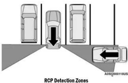 RCP Detection Zones A0502000118US