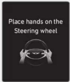 Place hands on the Steering wheel