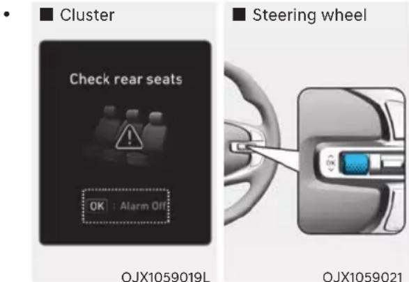 Cluster Check rear seats OK : Alarm Off Steering wheel OJX1059019L OJX1059021