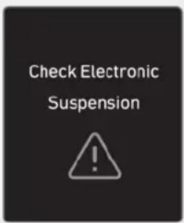 Check Electronic Suspension
