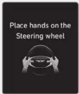Place hands on the Steering wheel