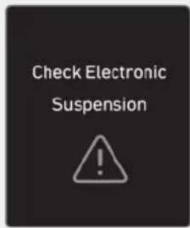 Check Electronic Suspension