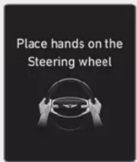 Place hands on the Steering wheel