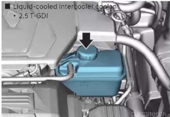■ Liquid-cooled intercooler coolants • 2.5 T-GDI