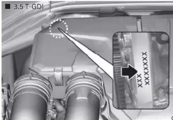 ■ 3.5 T-GDI XXXXXX