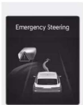 Emergency Steering