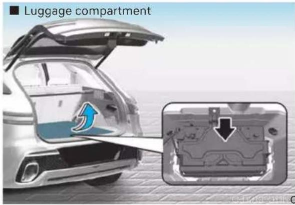 Luggage compartment