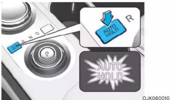 AUTO HOLD AUTO HOLD OJK060010