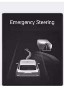 Emergency Steering