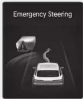 Emergency Steering