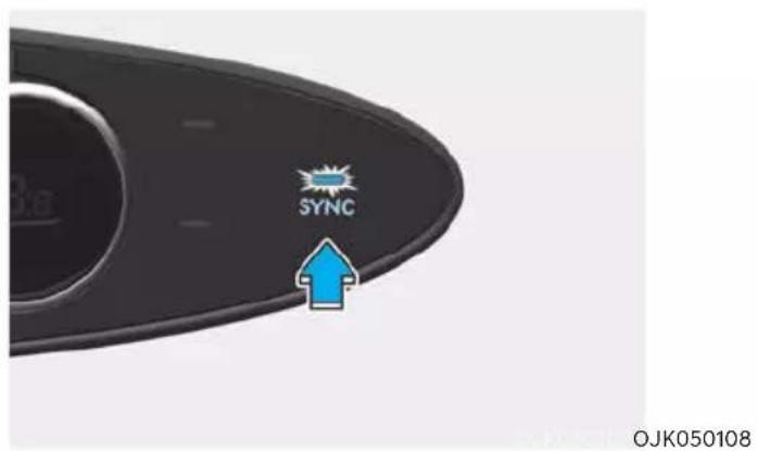 SYNC OJK050108