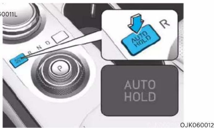 0011L RND P AUTO HOLD AUTO HOLD OJK060012