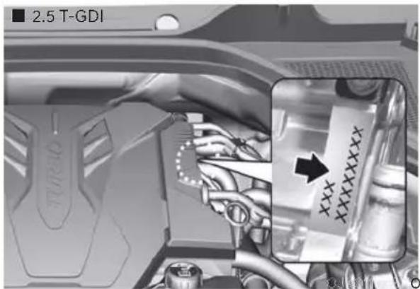 ■ 2.5 T-GDI TURIO