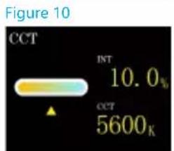 Figure 10 CCT INT 10.0% CCT 5600K