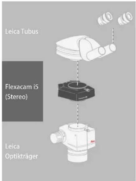 Leica Tubus Flexacam i5 (Stereo) Leica Optikträger