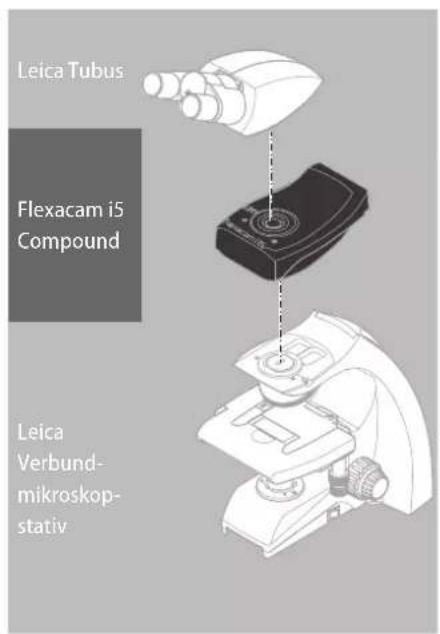 Leica Tubus Flexacam i5 Compound Leica Verbund- mikroskop- stativ