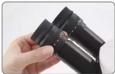 LEICA Ivesta 3 Serie - Okulare einsetzen - 1