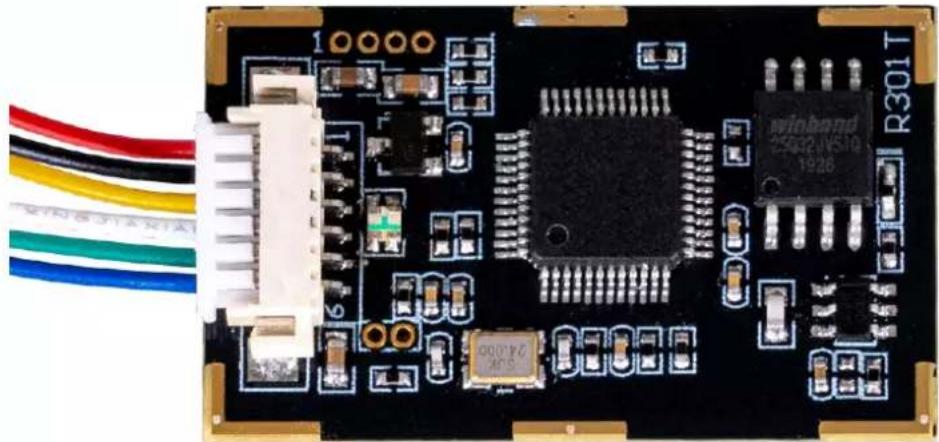 Joy-It COM-FP-R301T - PINBELEGUNG - 1