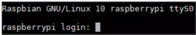 Raspbian GNU/Linux 10 raspberrypi ttyS0 raspberrypi login: