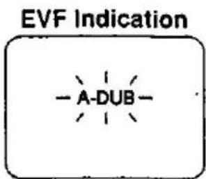 EVF Indication -A-DUB-