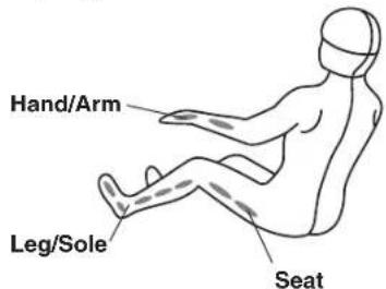 Hand/Arm, Leg/Sole, Seat