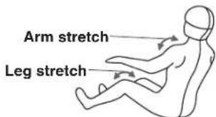 Arm stretch. Leg stretch.