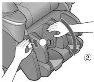 Illustration of hands adjusting a seatbelt mechanism with numbered arrows (no text or symbols).
