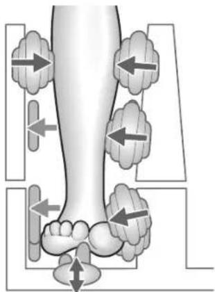 Diagram of a human leg with directional arrows indicating movement or force (no text or symbols present)
